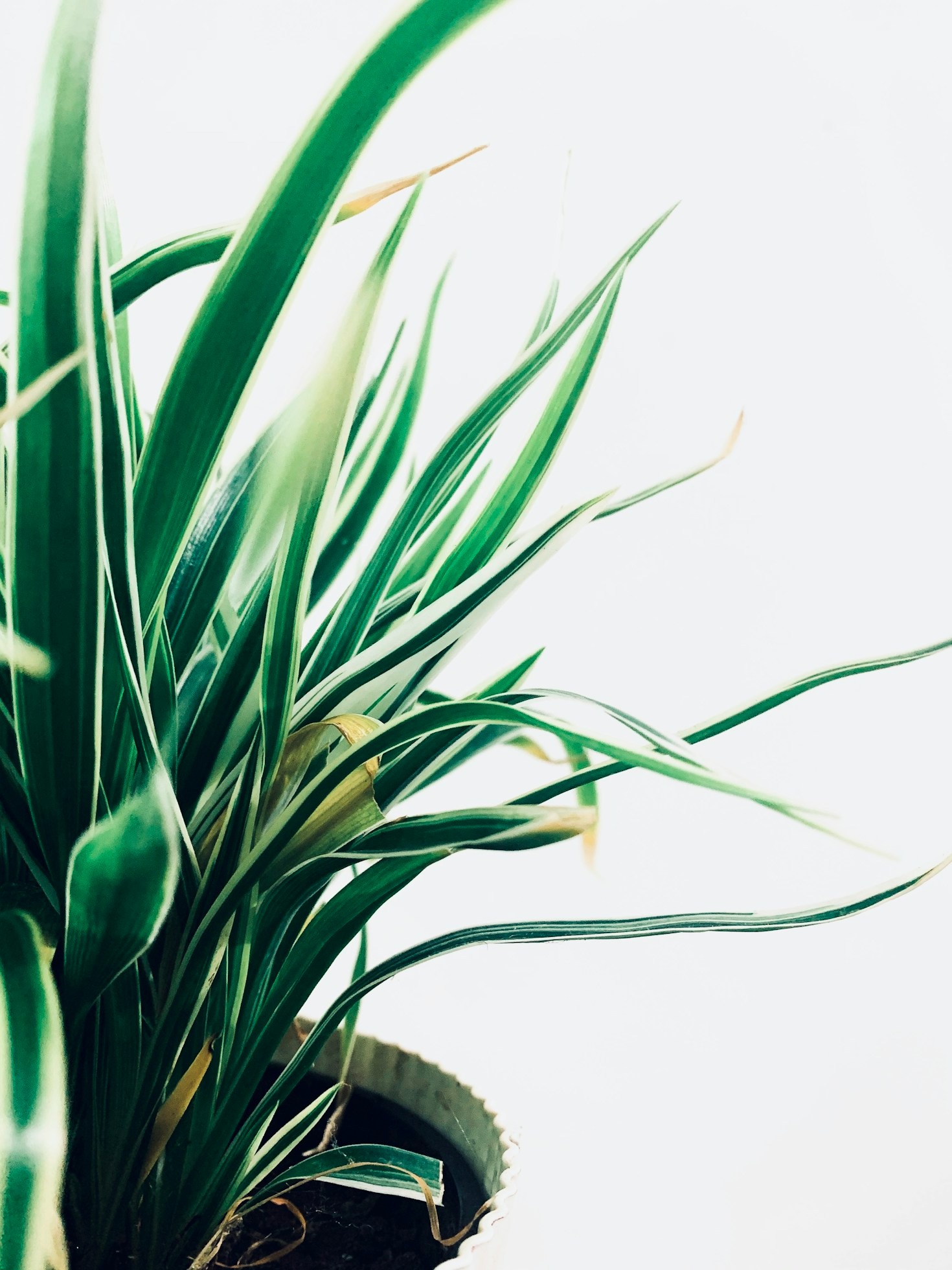 10 Must-Have Eco-Friendly Home Goods for 2023