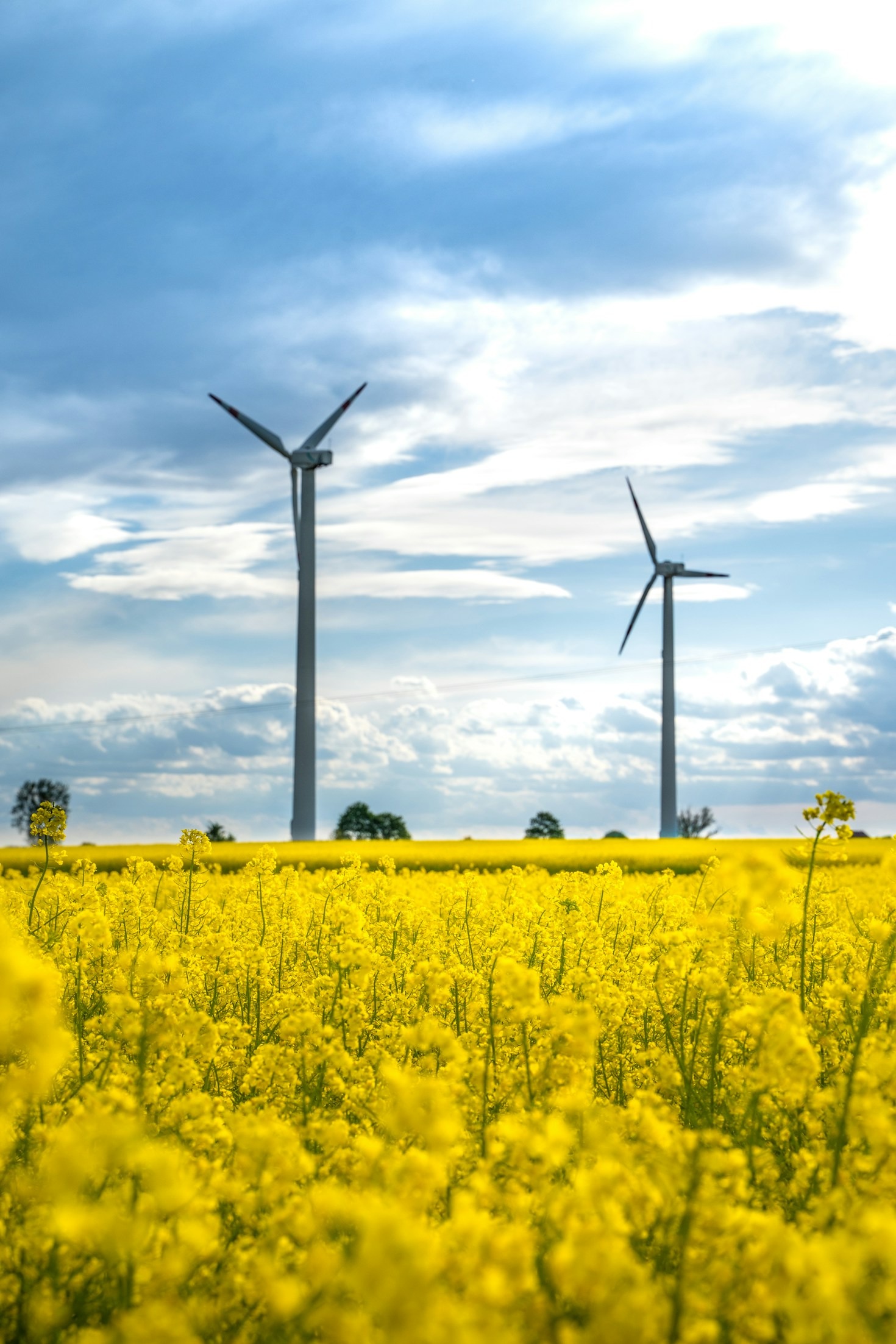 Sustainability Meets Design: Trends You’ll Love